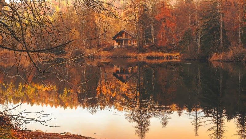 Remote Cabin in the Forest