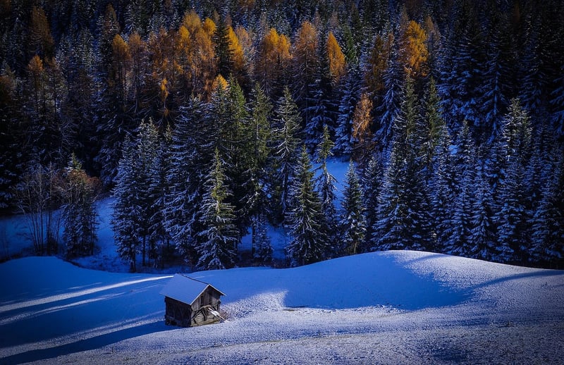 Winter Cabin in the Forest